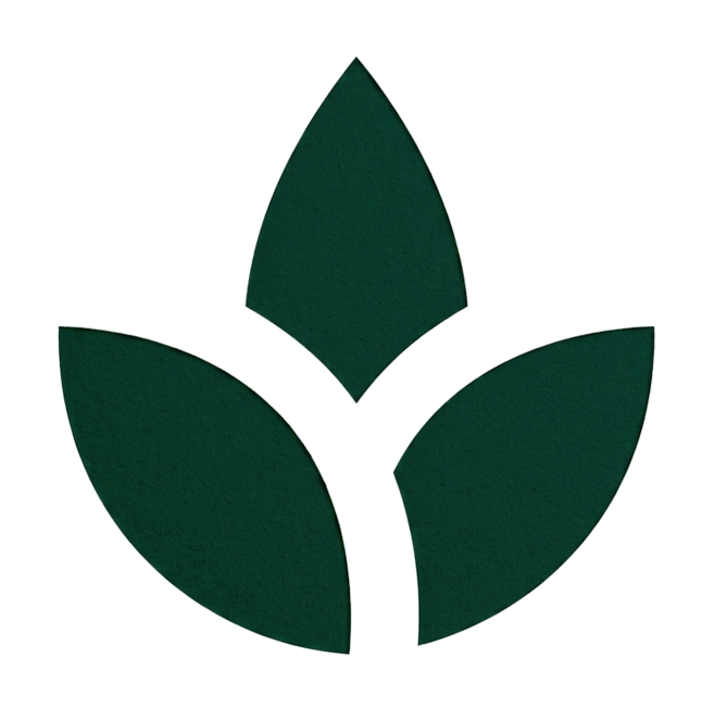 Mercy Logo
